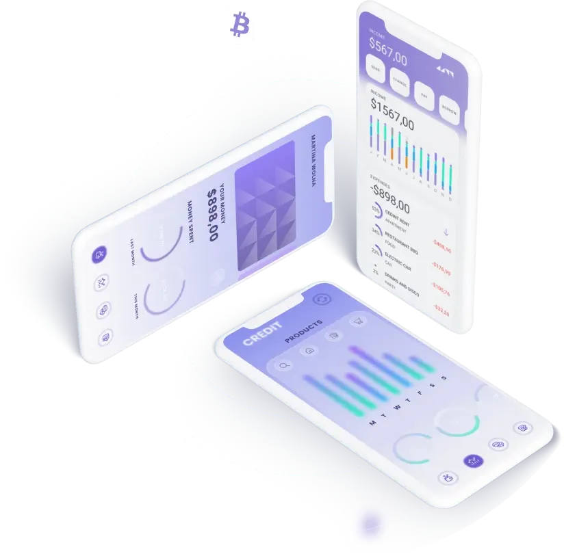 TrueNorth Capital - Empower Financial Inclusion with TrueNorth Capital Solutions